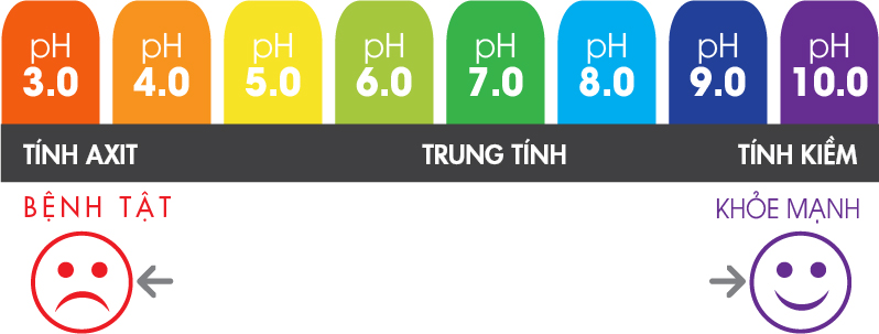 Độ pH là gì? Mức độ pH tối ưu đối với sức khỏe con người