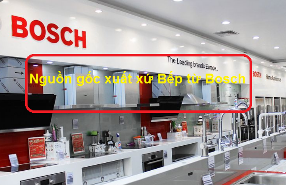 Đại lý bếp từ Bosch tại TPHCM uy tín - Eurocook-3